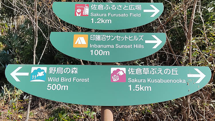 IMG 20210130 114206 - 秘密基地？佐倉市【野鳥の森】を散歩したら人にも鳥にも出会わなかった。