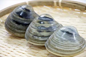 honbinosu img - 酒蒸しをリメイク。ホンビノス貝の卵とじ丼