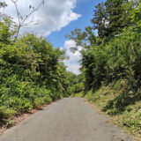 手つかずの雑木林を開拓！秘密基地みたいなキャンプ場をつくる（予定）