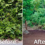 整地の工程は3つだけ。「刈る」「除去」「土ならし」を 初心者が実践