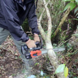 完全プライベートなキャンプ場作り。チェンソーにも挑戦！